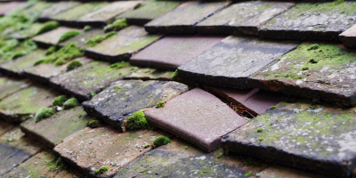 Llanddewi Brefi roof repair costs